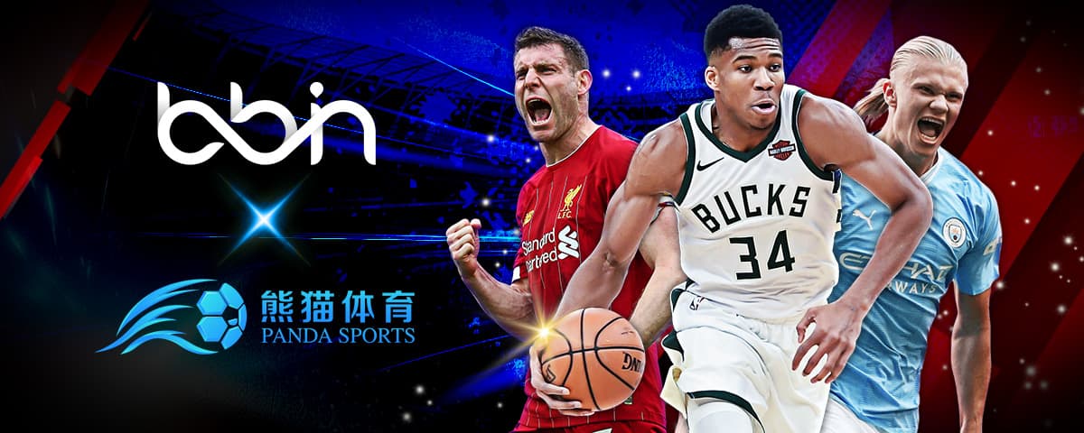 为罗梅乌提
