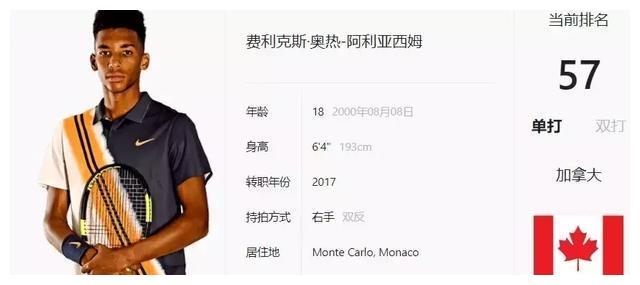 豪华阵容不 豪华阵容不